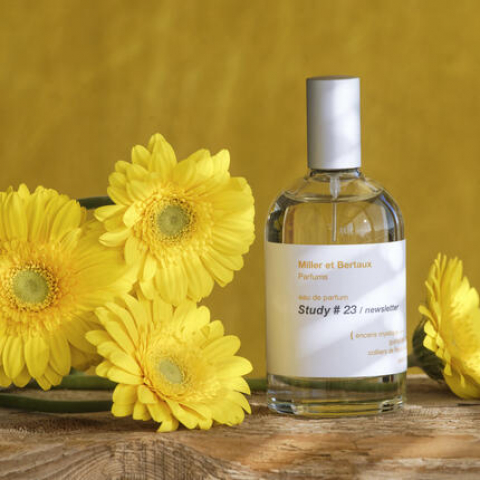 Eau de parfum STUDY #23